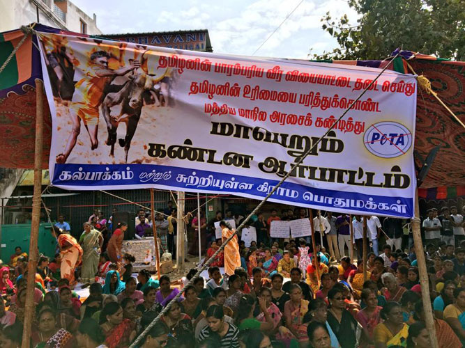 IPFA